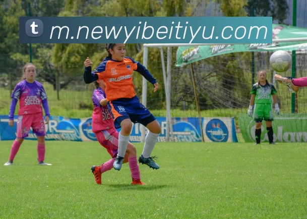 易倍体育APP 体育赛事宣传图